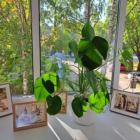 Turu 15 Lejlighed Tartu