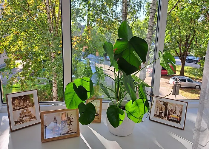 Turu 15 Korter Tartu